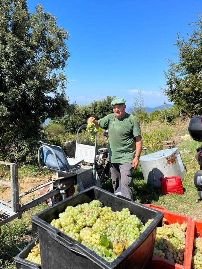 I Tre Grappoli Corniglia Exterior foto