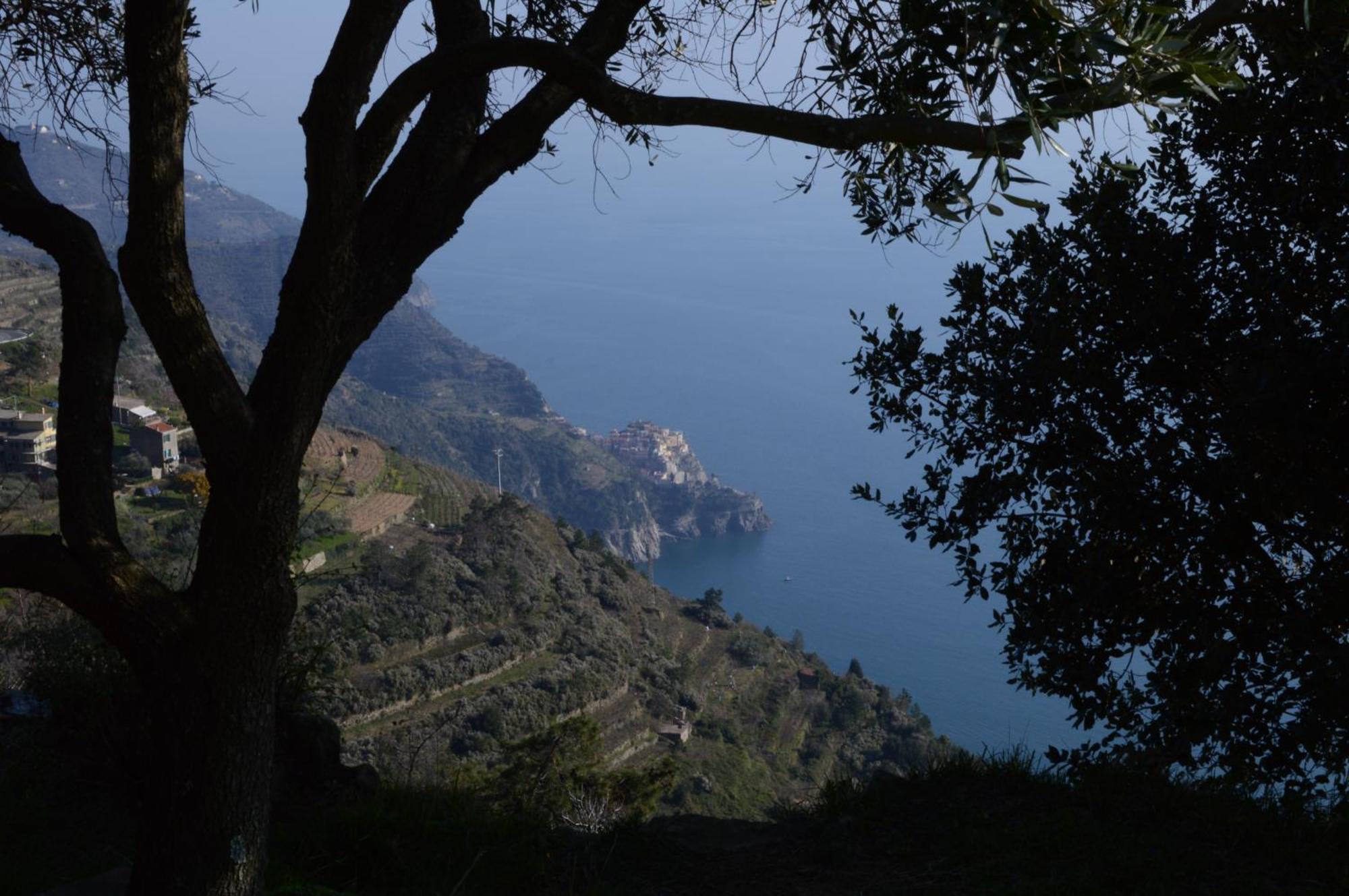 I Tre Grappoli Corniglia Exterior foto