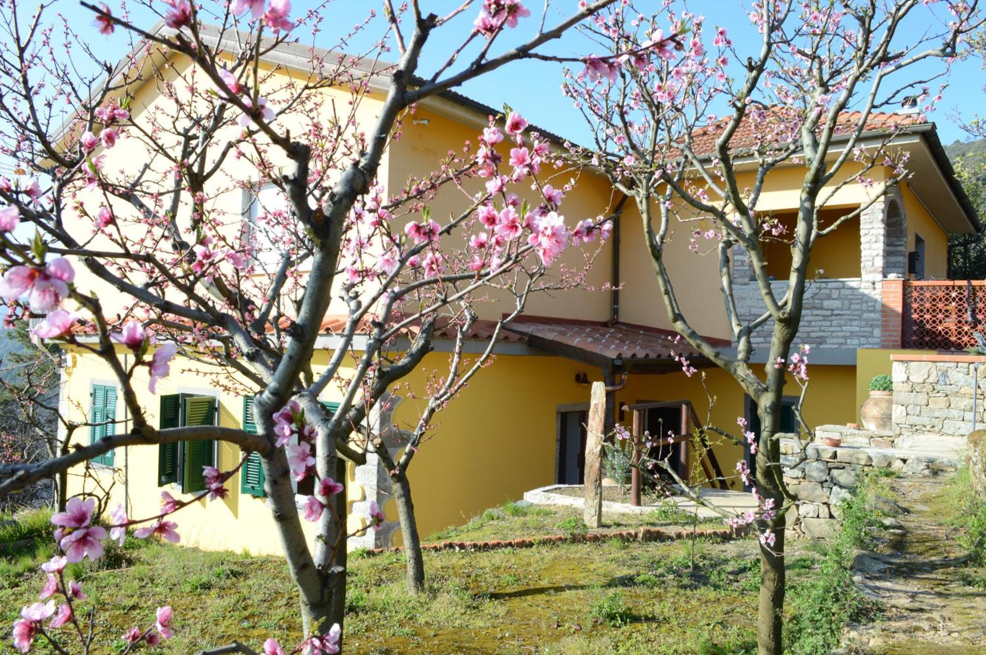 I Tre Grappoli Corniglia Exterior foto